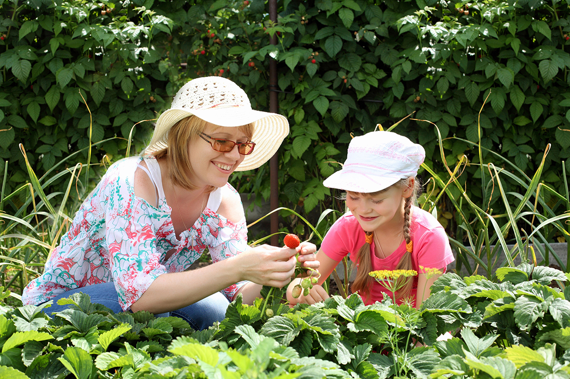 How a Home Garden Can Boost Your Property Value: 5 Key Benefits HomeGarden
