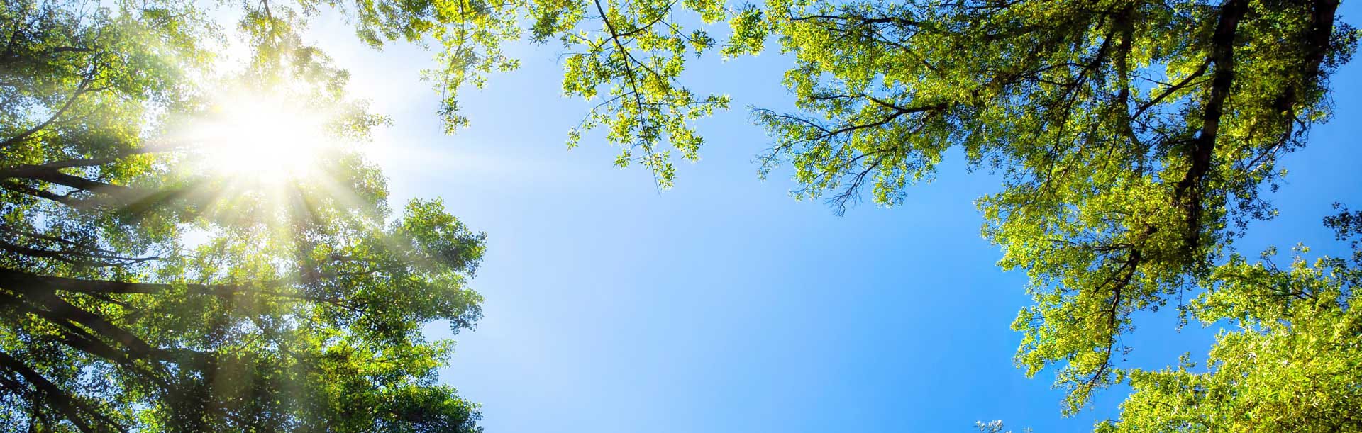 Mortgage Company Sardis Woods, NC