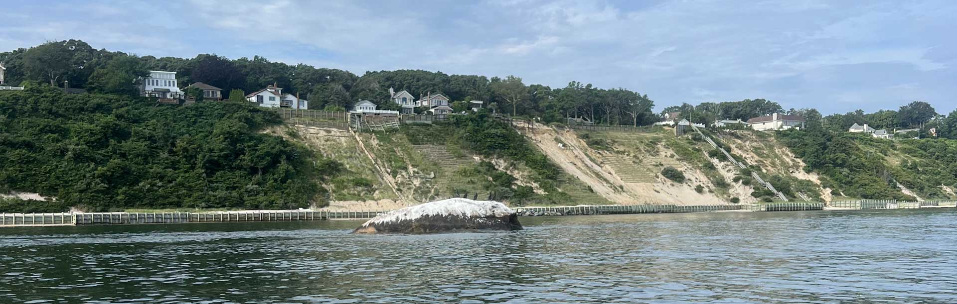 Reverse Mortgage Sound Beach, NY Mortgages in Sound-beach